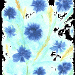 babeth_2_claire_2x3.gif