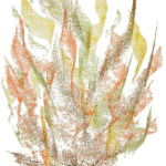 feu01_travail002.png