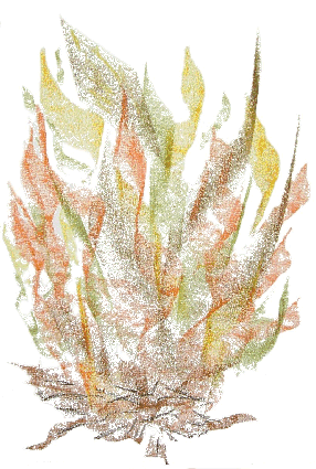 Le Feu
