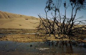 Carême : Des mesures à prendre